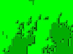 another intense blowjob from the prostitute!