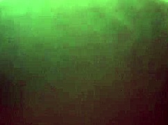 my fat friend sucks my dick in a sloppy blowjob