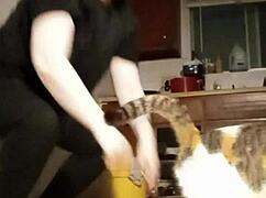 Exciting workout freebie with more videos coming