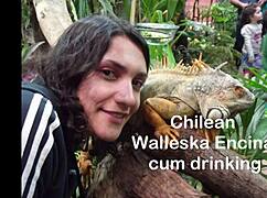 Latina swallows cum from monster cock