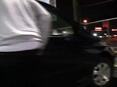 Romemajor Montana Star's Beach Minivan Adventure