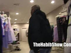 Romemajor Montana Star's Beach Minivan Adventure