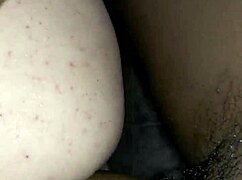 Judiou Meu Cuzinho Antes de Encher de Porra