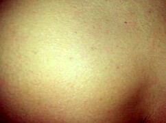 Amateur Video from 2012