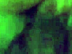 pau pimenta delivers that anal action you crave