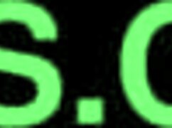 Sneak Peek At Horseback Riding