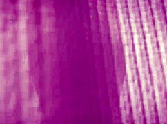 Regular day at aunt's house turns into anal fun