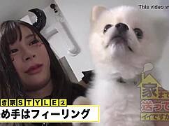 full version of the video link