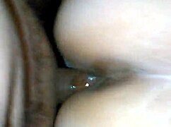 Sabrosa mi lady brings such joy and warmth