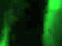 intensely stroking massive cock in madrid, reaching explosive climax