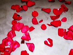 Brazilian Ready For Christmas Fun And Celebrations