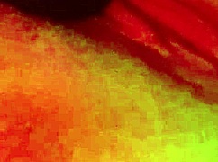 Amateur Plays With Vibrator Until Orgasm