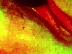 Amateur Plays With Vibrator Until Orgasm