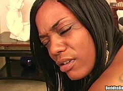 dr moorewood specializes in anal with ebony big ass amateurs in hardcore action