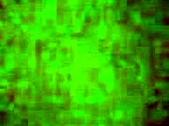 Blonde Pawg Milf Bent Over in Rough Doggy Fucking Her Wet Pussy