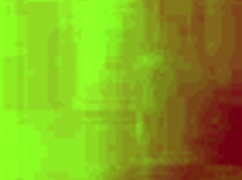 Brazilian European Lovers Bonding