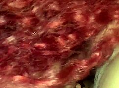 I sucked my stepfather, didn't I?