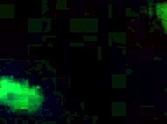 Bambi Rose Gets Fucked So Good By Her Husband! Wet BBW Ass Pounding!