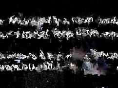 Tiny Penis Humiliation In Femdom Bdsm Scene