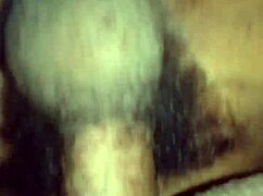 pampa boudi romances husband with big tits and cock