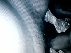 Chibolo Pulpo Loves Oral Pleasure in Gay Group Orgy