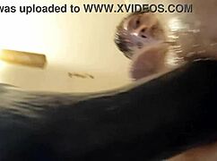 i play with dildo one night