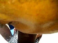 Mature Blowjob In Car Pov