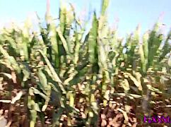 blond babe flashes tits in corn maze then gets anal assfucking with squirting and facial cumshot
