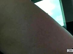 Stop Fighting And Start Fucking