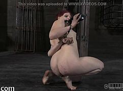 A naughty girl receives a lusty facial punishment