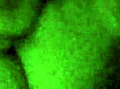 Awesome Homemade Sex Session With Big Ass Amateur