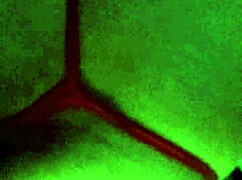 the mexicana puta is getting anal doggystyle and masturbating