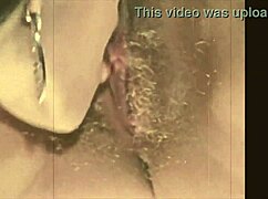 my secret life with vintage lesbians and their hairy beavers