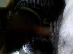 wife says, suck my ebony cock deep.