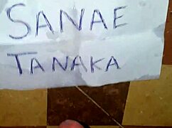 Identical cum tribute surprises