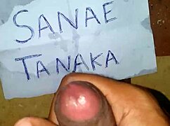 Identical cum tribute surprises