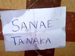 Identical cum tribute surprises