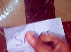 Identical cum tribute surprises