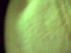 Hey, hotel hooker, how much for that big butt tonight?