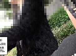 asian japanese amateurs performing detailed blowjob with toys in full version