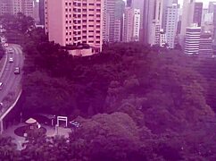 in this narrative, the maid cleans the house and serves the family