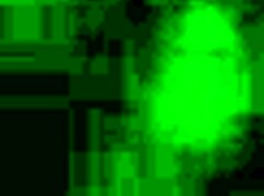 Country Boy Stroking His Hard Cock 😜