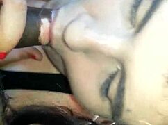 amateur car blowjob session