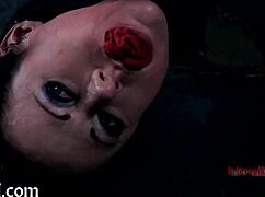 exploring bizarre sadomasochism themes in a compilation video