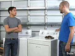 Gays Screwing Their Sexy Butts Hard!