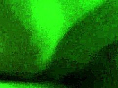 Imagine An Amazing Blowjob In The Camping Car With A Redhead Milf