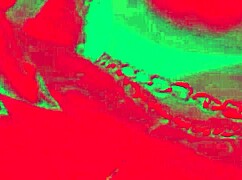 Look at Caroleta Roots' pussy releasing honey! So hot!