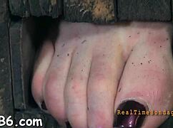 amateurs exploring sadomasochism