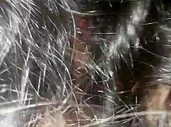 wife sucking in the kitchen