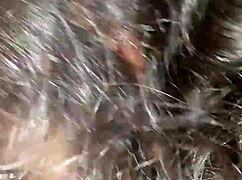 wife sucking in the kitchen